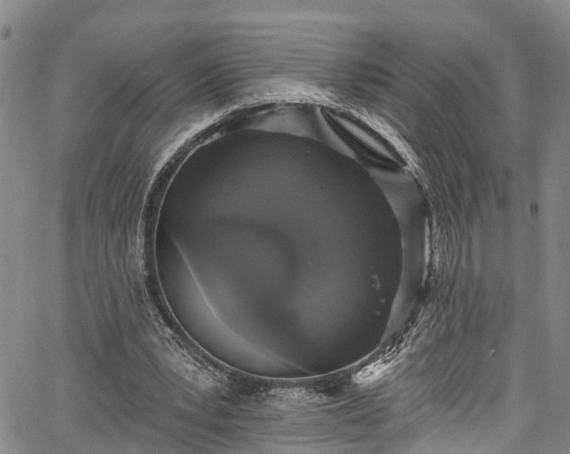 X0000067900391200604201340