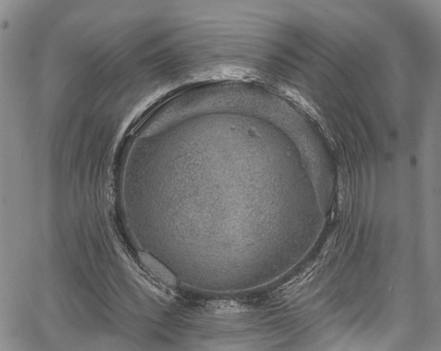 X0000067900392200604201340