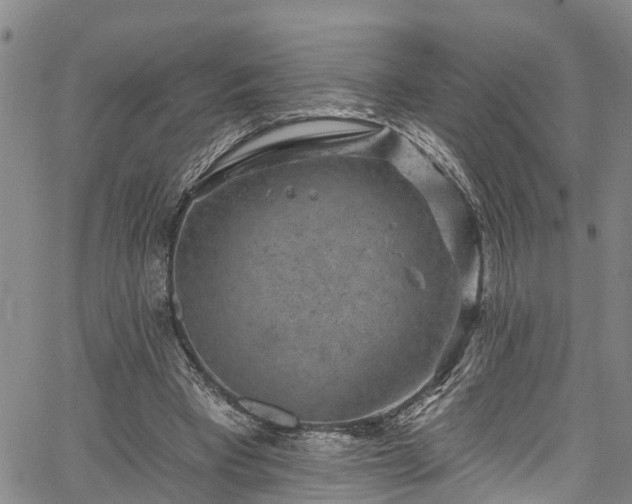 X0000067900393200604201340