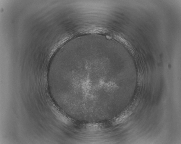 X0000067900394200604201340