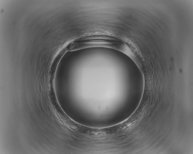 X0000067900395200604201340