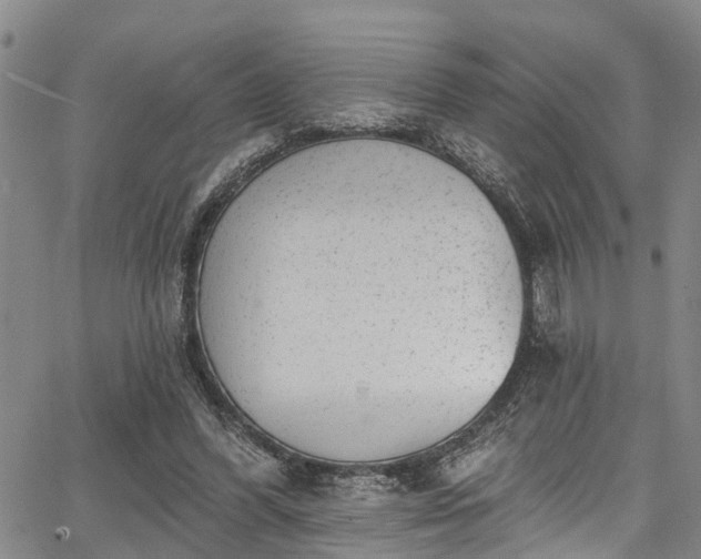 X0000067900396200604201340