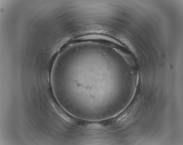 X0000067900397200604201340