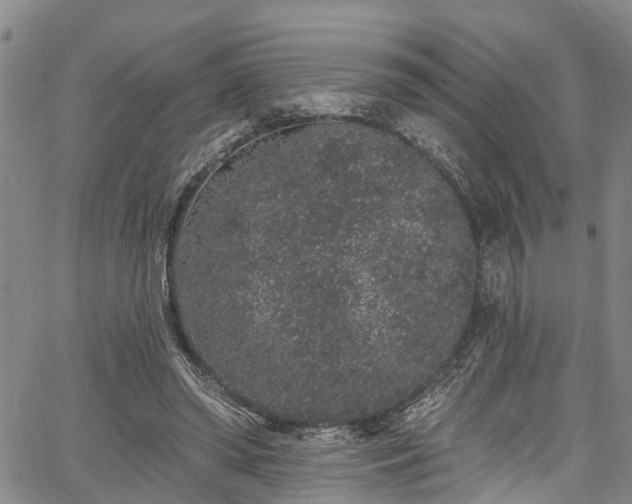 X0000067900398200604201340