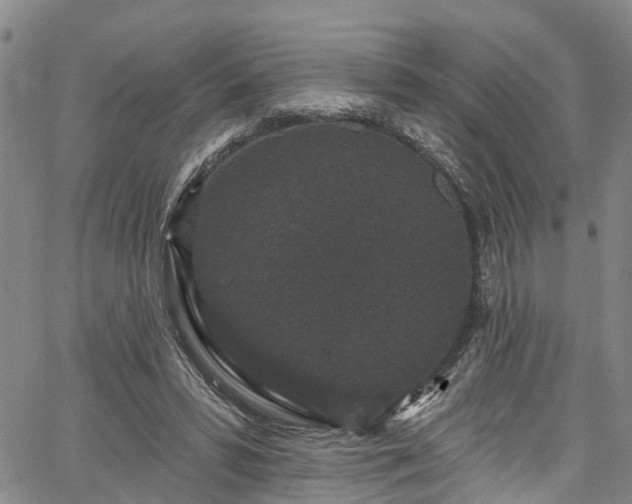 X0000067900399200604201340