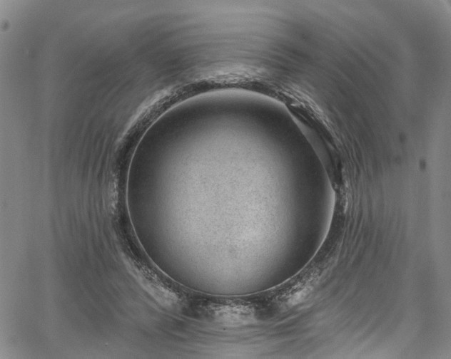 X0000067900400200604201340