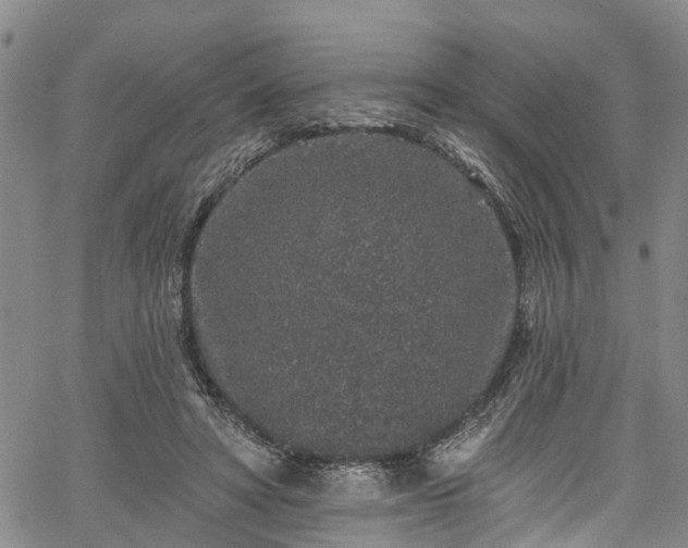 X0000067900402200604201340