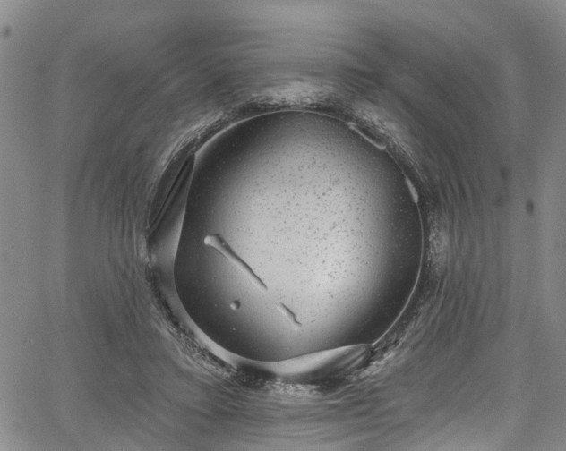 X0000067900403200604201340