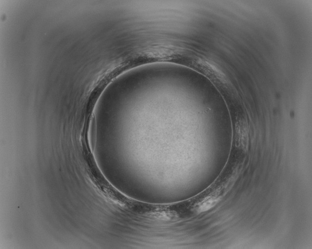 X0000067900404200604201340