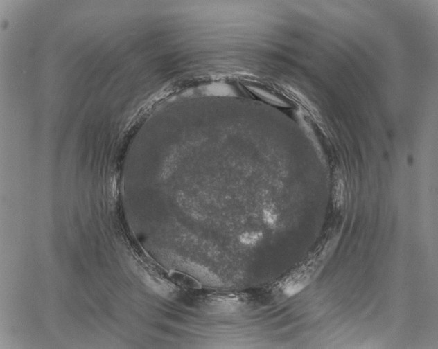 X0000067900405200604201340