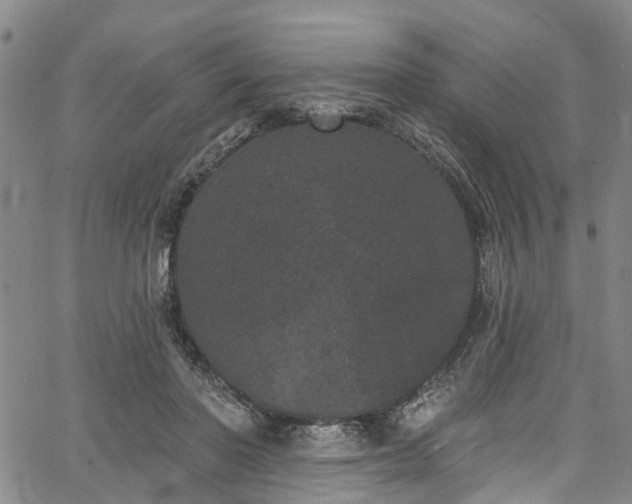 X0000067900406200604201340