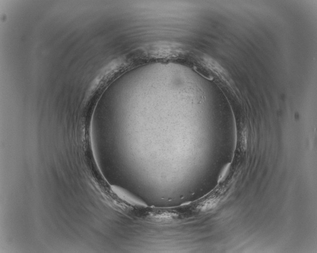 X0000067900407200604201340