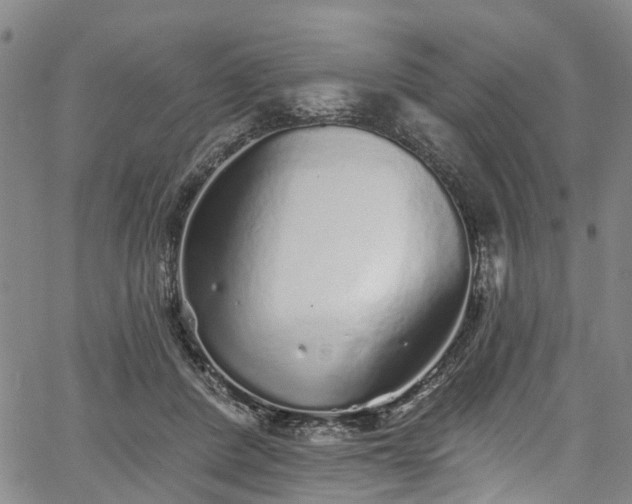 X0000067900408200604201340