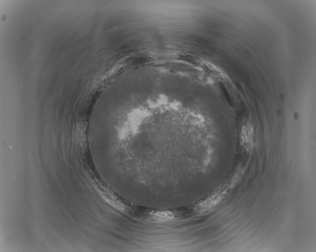 X0000067900409200604201340