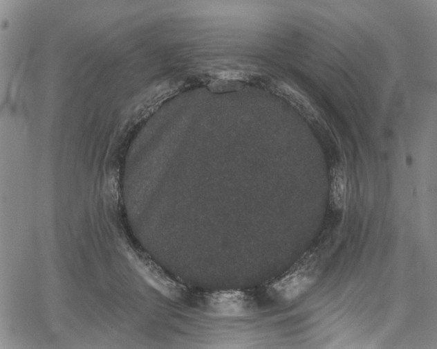 X0000067900410200604201340