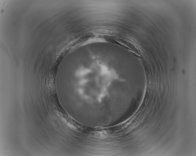 X0000067900411200604201340