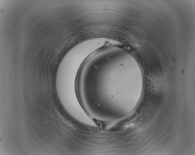 X0000067900412200604201340