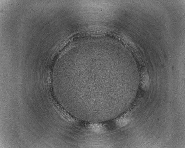 X0000067900413200604201340