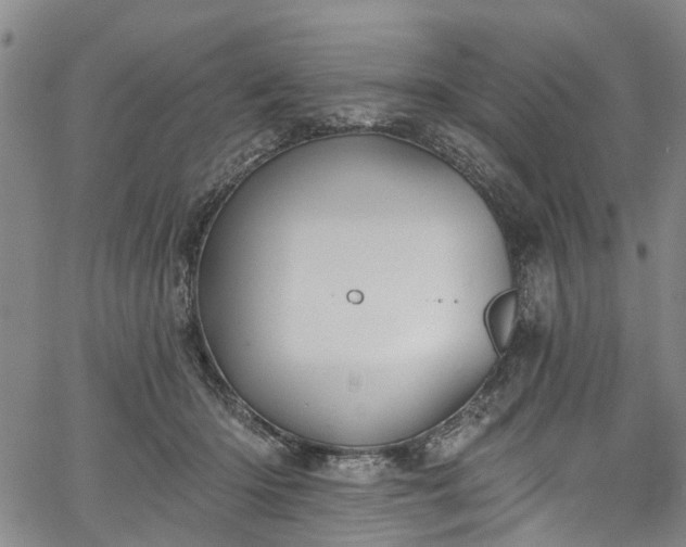 X0000067900414200604201340