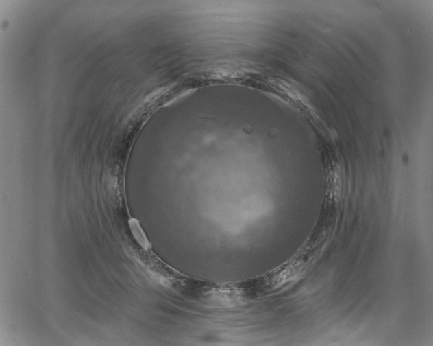 X0000067900415200604201340