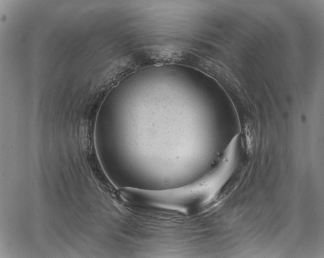 X0000067900416200604201340