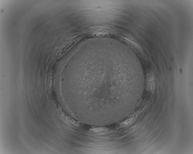 X0000067900417200604201340