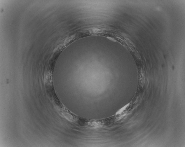 X0000067900419200604201340