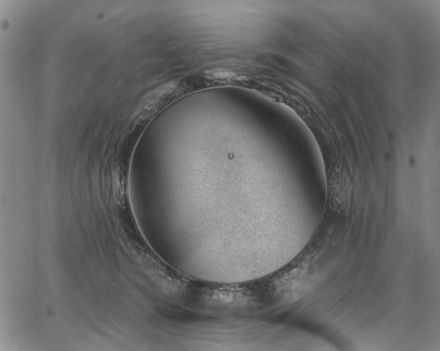 X0000067900420200604201340