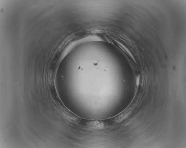 X0000067900421200604201340