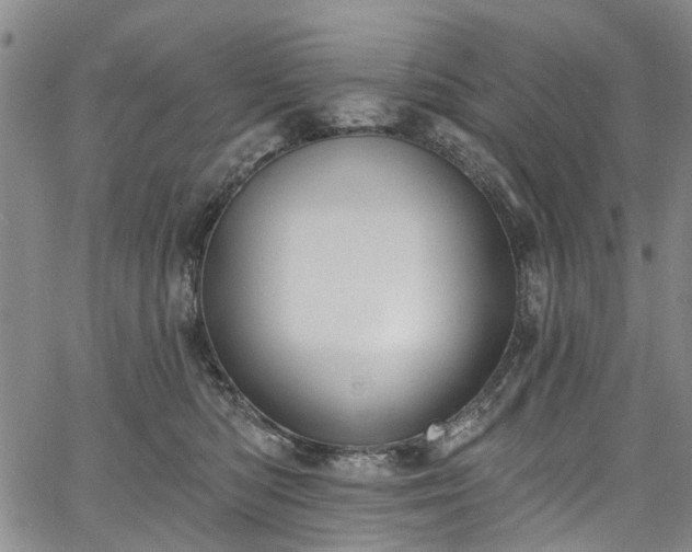 X0000067900422200604201340