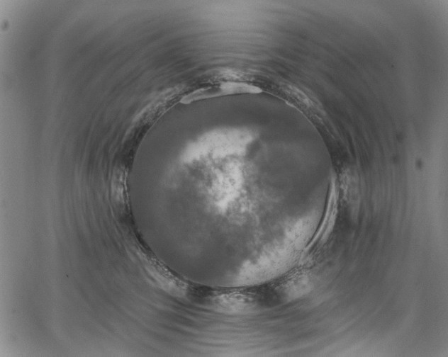 X0000067900423200604201340