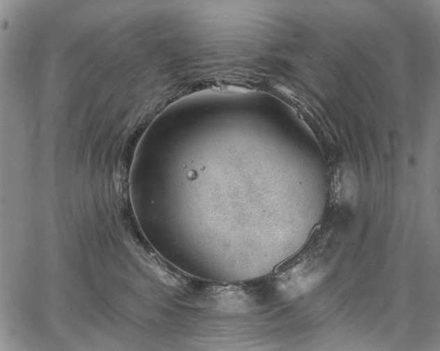 X0000067900424200604201340