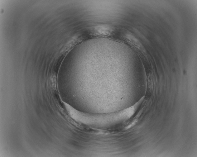 X0000067900425200604201340