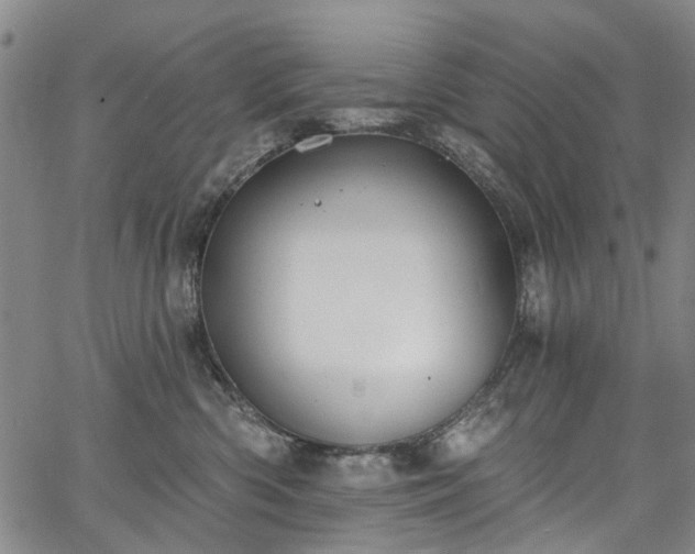 X0000067900426200604201340