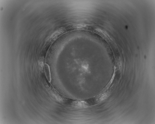 X0000067900427200604201340