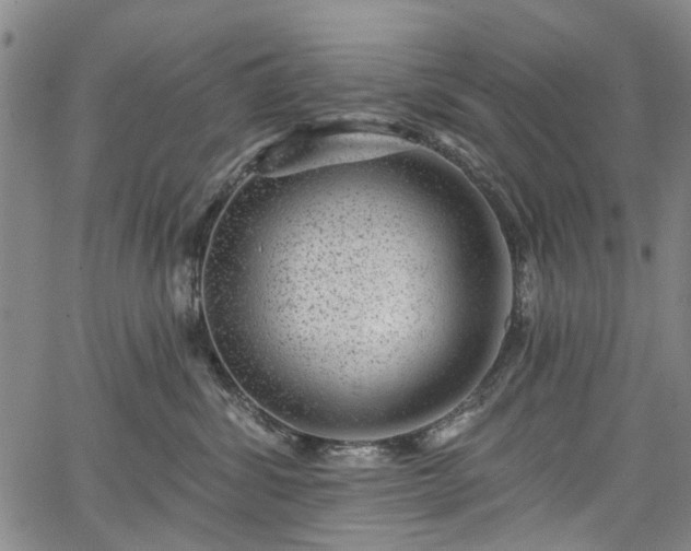 X0000067900428200604201340