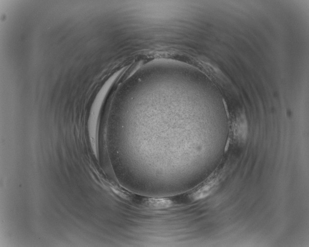 X0000067900429200604201340