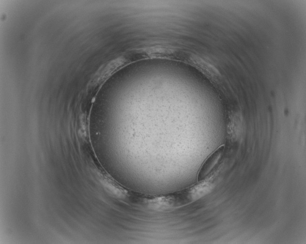 X0000067900430200604201340