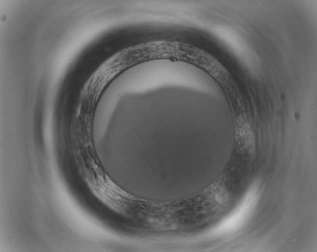 X0000067900431200604201339