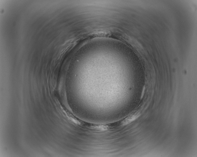 X0000067900432200604201339