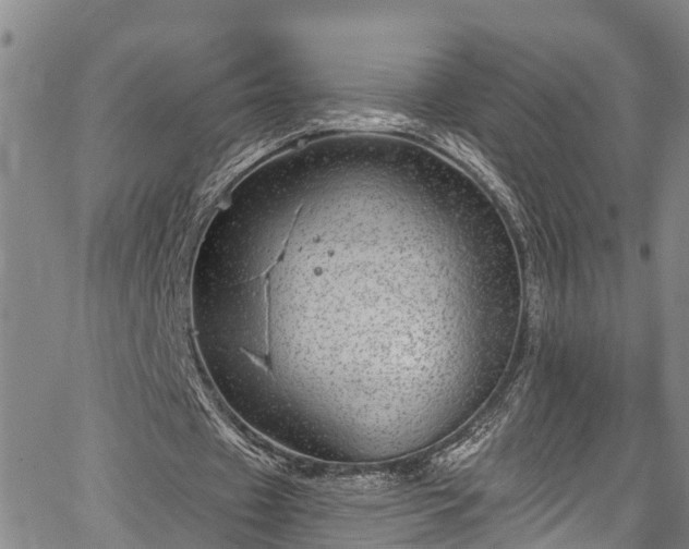 X0000067900433200604201339