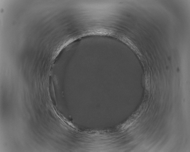 X0000067900434200604201339