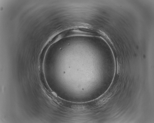 X0000067900435200604201339