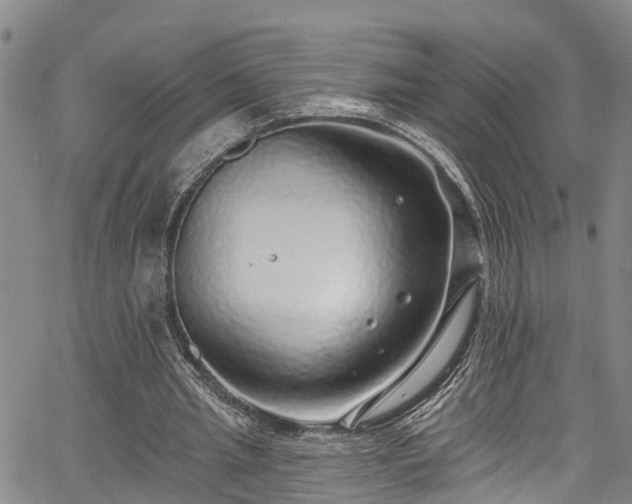 X0000067900437200604201339