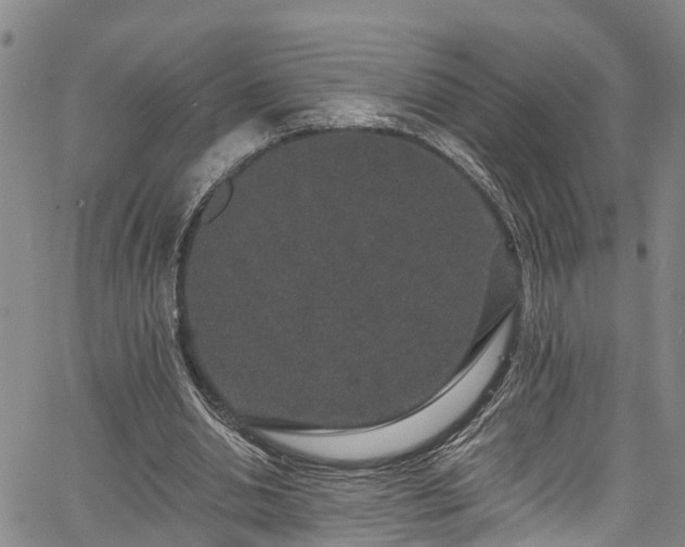 X0000067900438200604201339