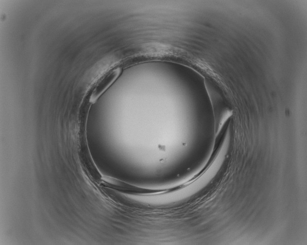 X0000067900440200604201339