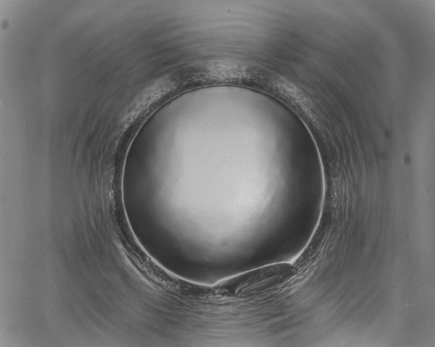 X0000067900443200604201339