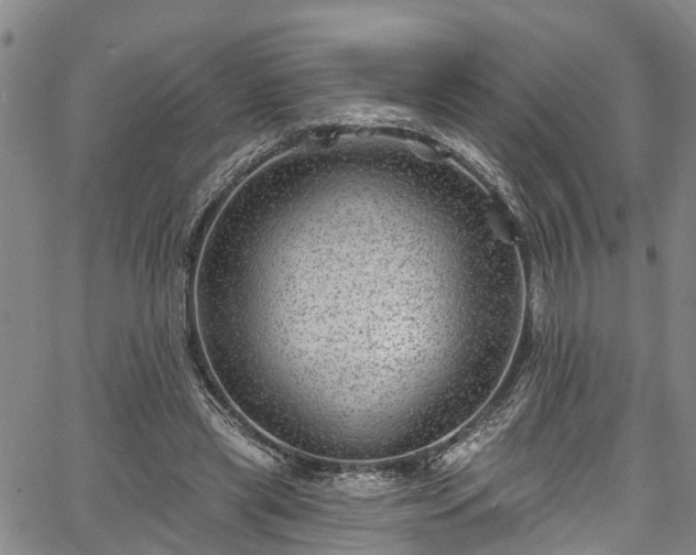 X0000067900445200604201339