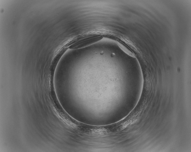 X0000067900446200604201339