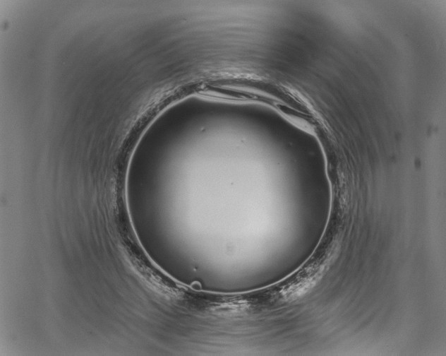 X0000067900447200604201339